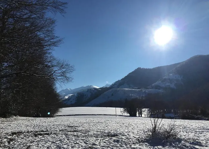 Sur Cour, Le Berlingott Διαμέρισμα