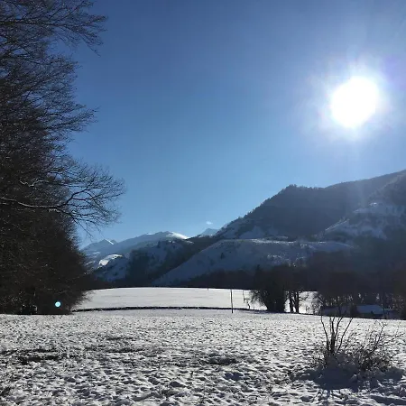 Sur Cour, Le Berlingott Daire